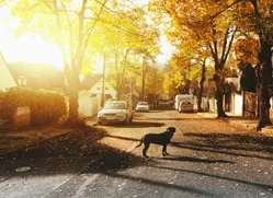 Immobilien in Ulm und Umgebung